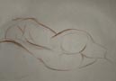 looseshape